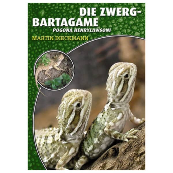 Zwergbartagamen