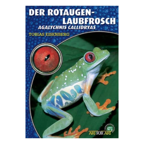 Rotaugenlaubfrosch