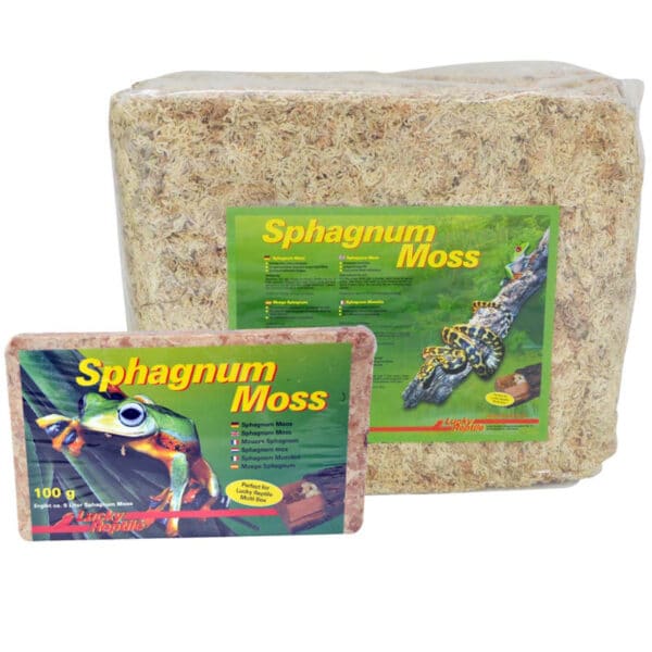 Sphagnum