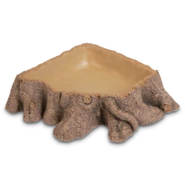 Stump. 2