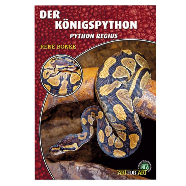 der_koenigspython