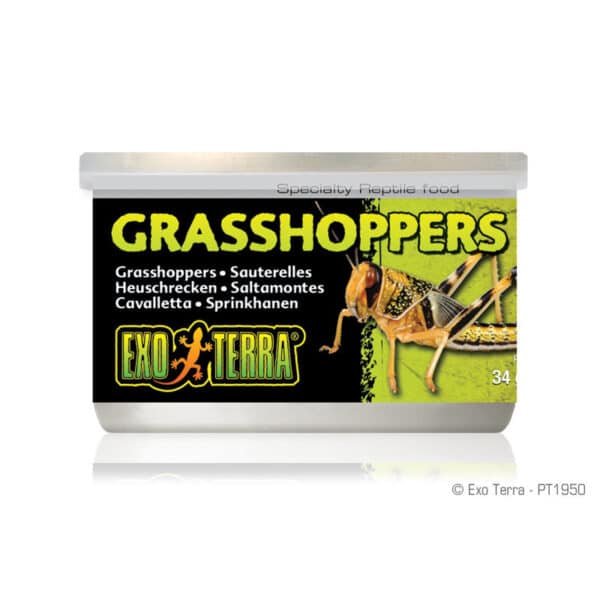 Grasshoppers