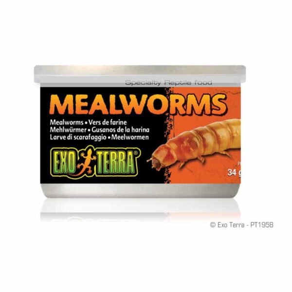 Mealworms