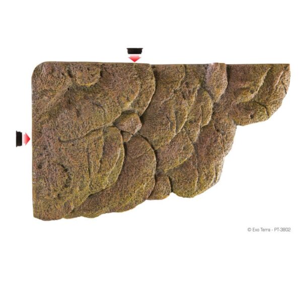 Turtle Bank 1