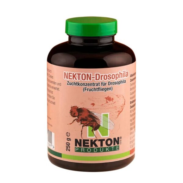 Nekton-Drosophila