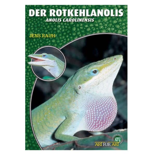 Anolis carolinensis