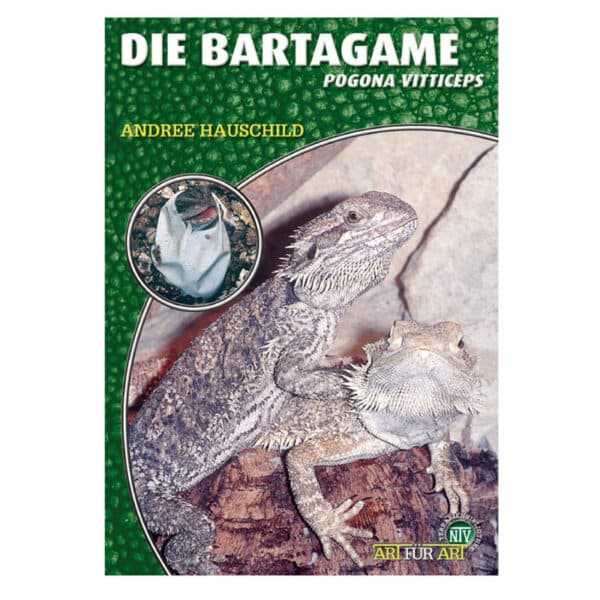Die Bartagamen