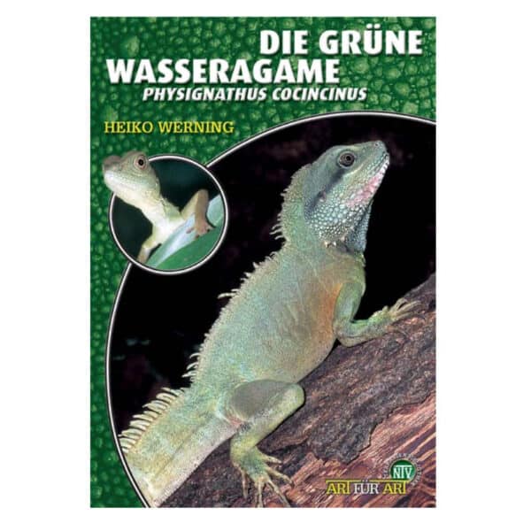 Die grüne Wasseragame