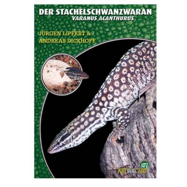 Varanus acantrurus