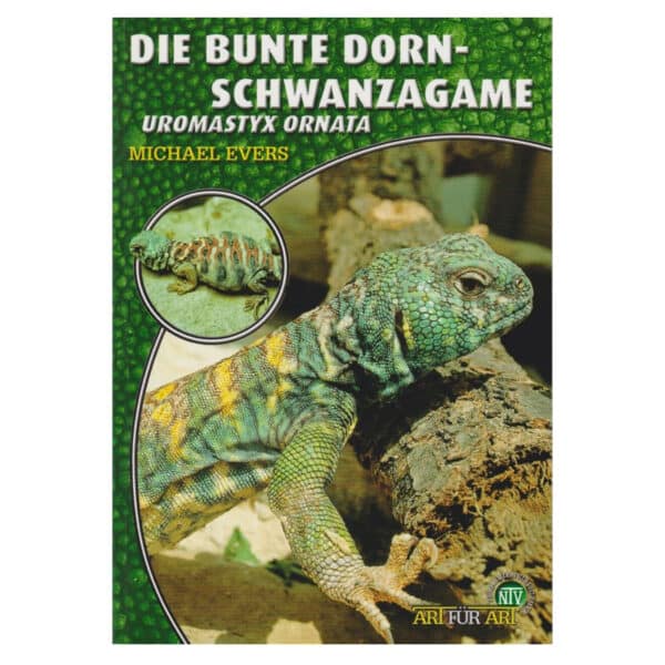 Die bunte Dornschwanzagame