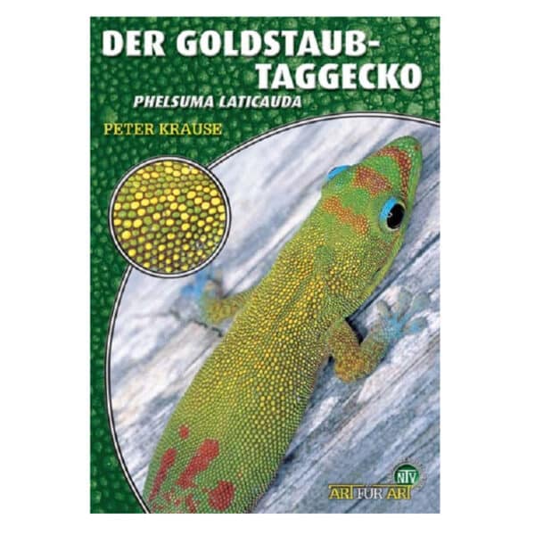 der_goldstaubtaggecko_phelsuma_laticauda