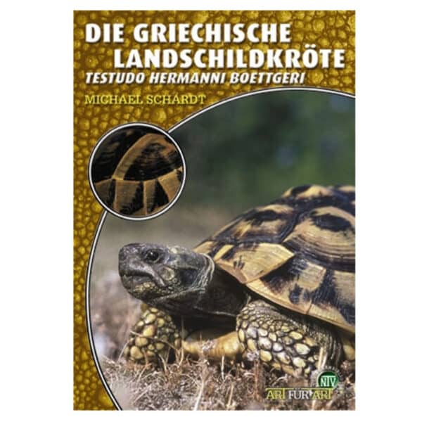 Die grichische Landschildkröte