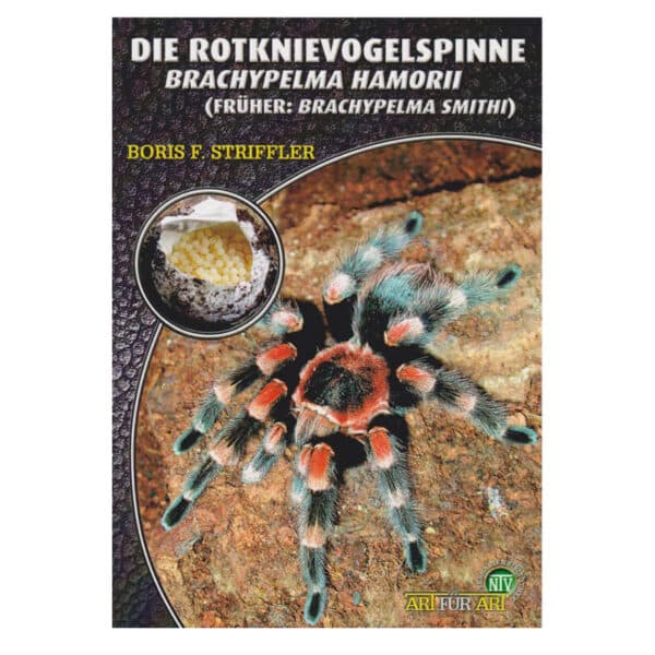 Die Rotknie Vogelspinne