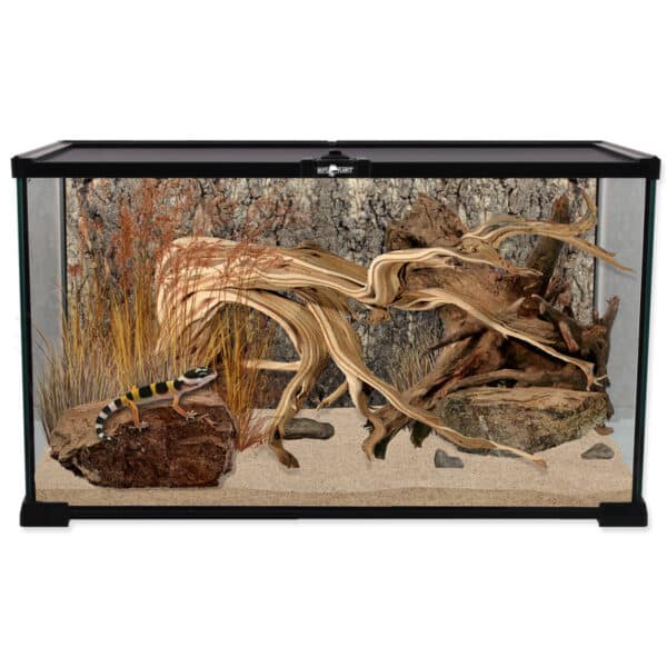 Breitformat-Terrarium, 50.5 x 30.5 x 25 cm