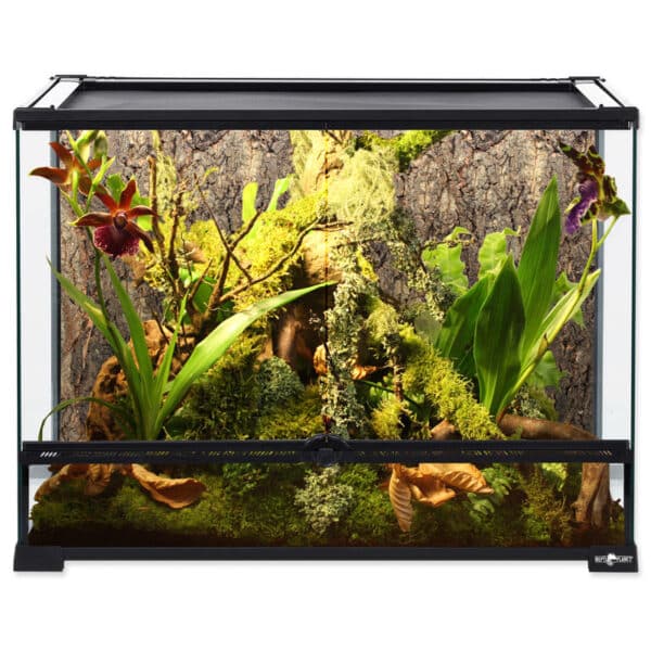 Breitformat-Terrarium, 60 x 45 x 45 cm