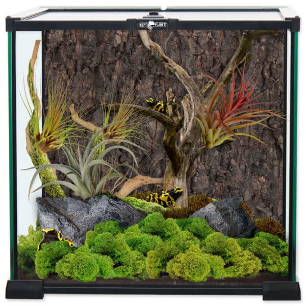 C. Quadratformat-Terrarium, 30 x 30 x 30 cm