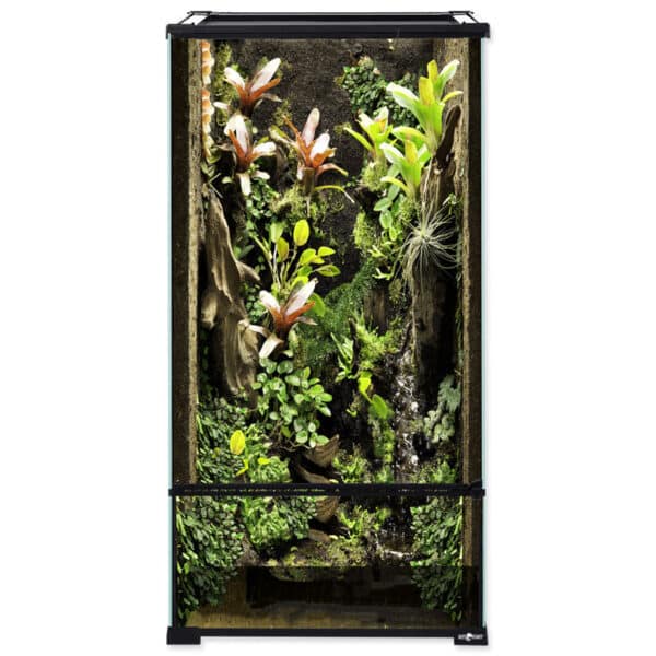 Hochformat-Terrarium, 45 x 45 x 90 cm