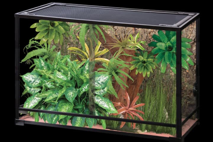 RP Terrarium