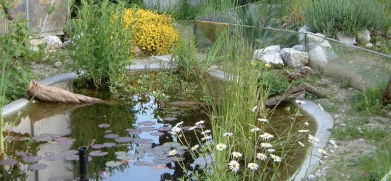 News 8 Landschildkrötenanlage gebaut von Lorica AG