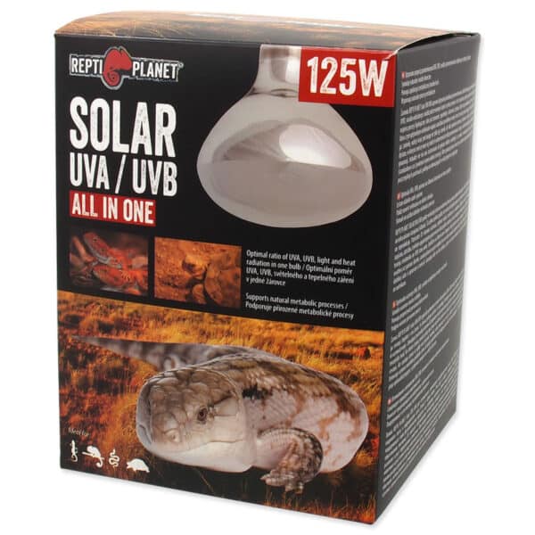 Bulb Solar
